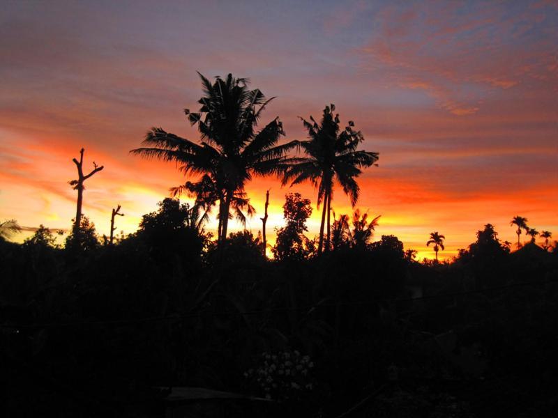 אובוד Nyoman Murjana Homestay מראה חיצוני תמונה
